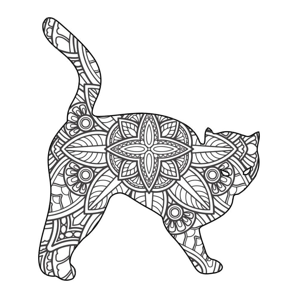Mandalas Chat 29